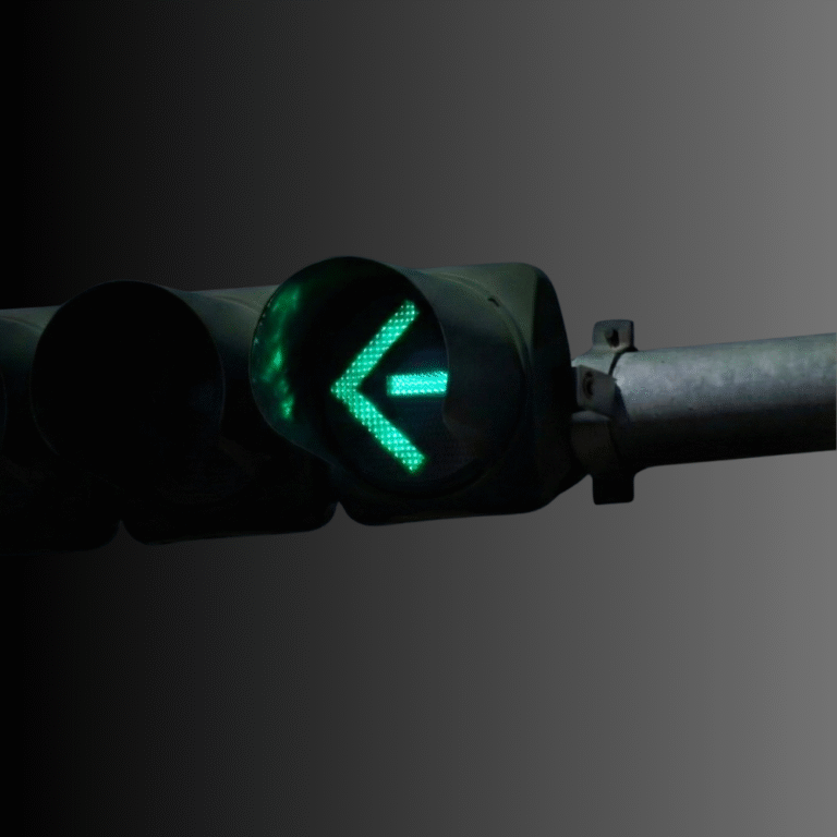 LD Series Arrow Traffic Signal Module