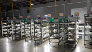 baba-vs-buy-american-act-public-lighting-comparison leotek-streetlight-assembly-line-professional-cover-v2