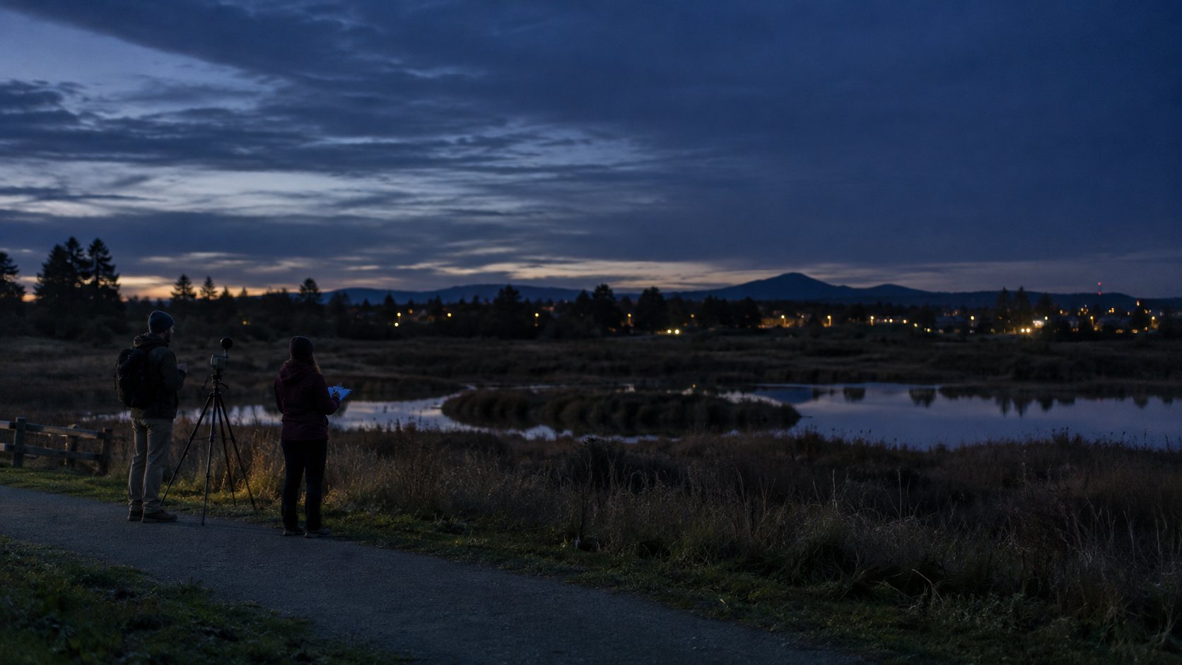 Conceptual nighttime site assessment with two field staff reviewing an existing light condition near a wetland.