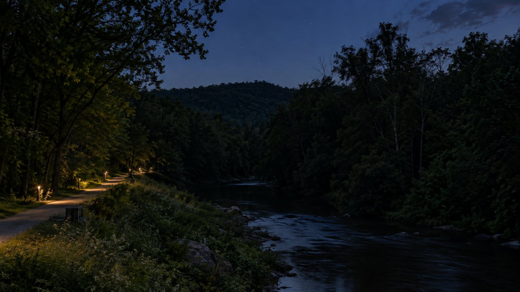 Conceptual wooded corridor at dusk with distant path lights and an adjacent dark streamside habitat.