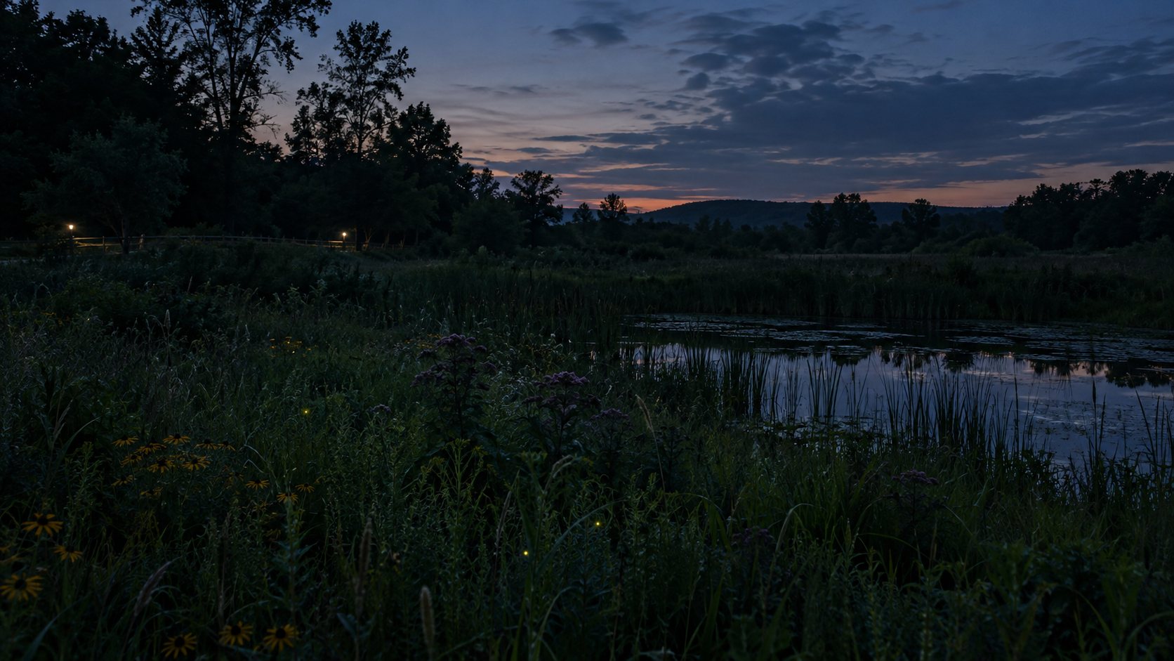 Conceptual twilight meadow and wetland with subtle firefly-like points and distant, small path lights beyond vegetation.