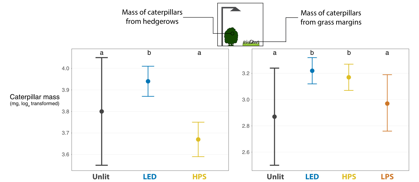 Model estimates of caterpillar mass under unlit, LED and sodium treatments, with standard errors.