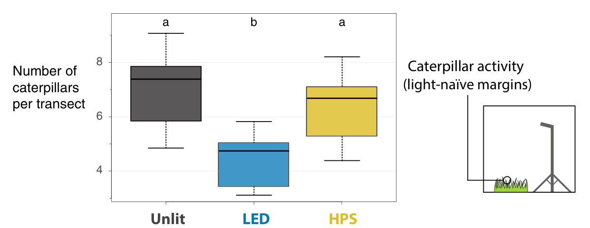Short-term caterpillar activity under unlit, LED and high-pressure sodium treatments in previously unlit grass margins.