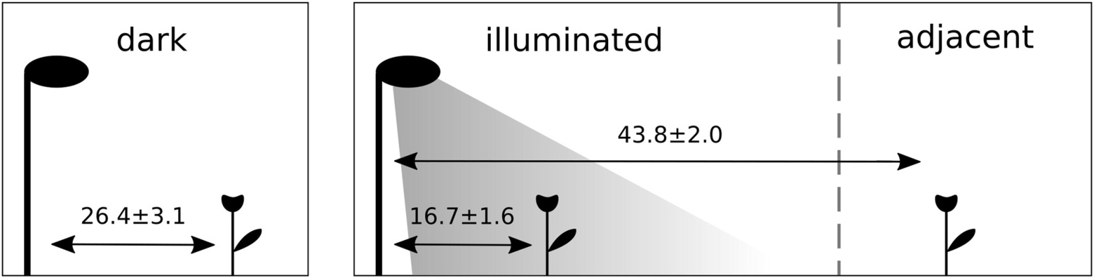 Field layout showing separate dark controls and illuminated and adjacent dark areas within experimentally lit meadows.