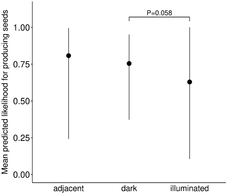 Predicted likelihood of Epilobium capsules producing seeds under adjacent, dark and illuminated treatments.
