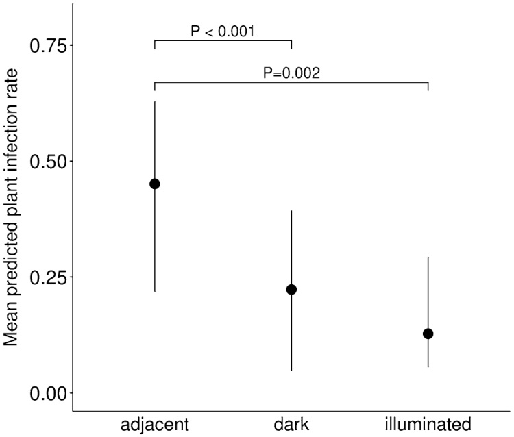 Predicted Silene seed-predator attack rates in adjacent, dark and illuminated field treatments.