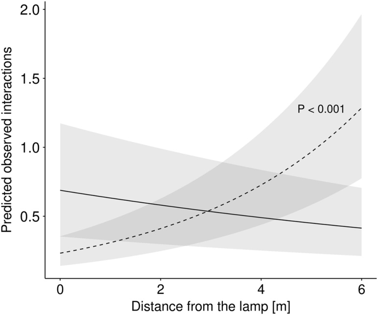 Predicted flower visits along distance from the lamp in lit and dark experimental corridors.