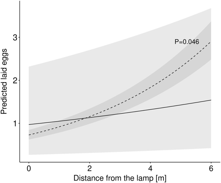Predicted moth eggs laid along distance from the lamp in lit and dark experimental corridors.