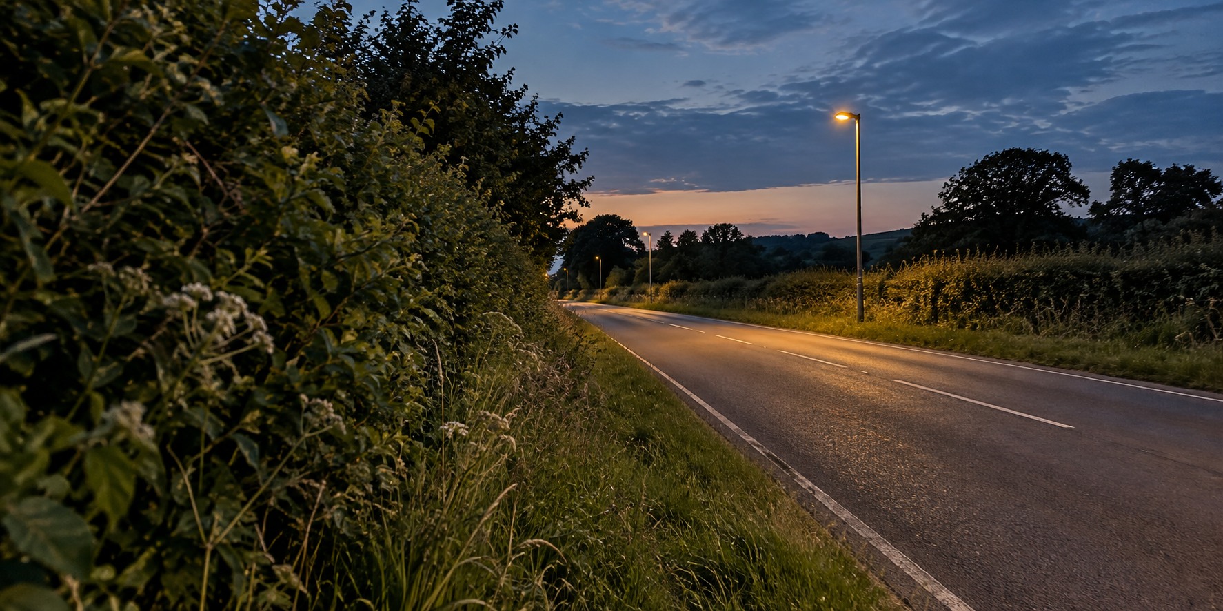 Street Lighting and Insects: What Field Research Actually Measures